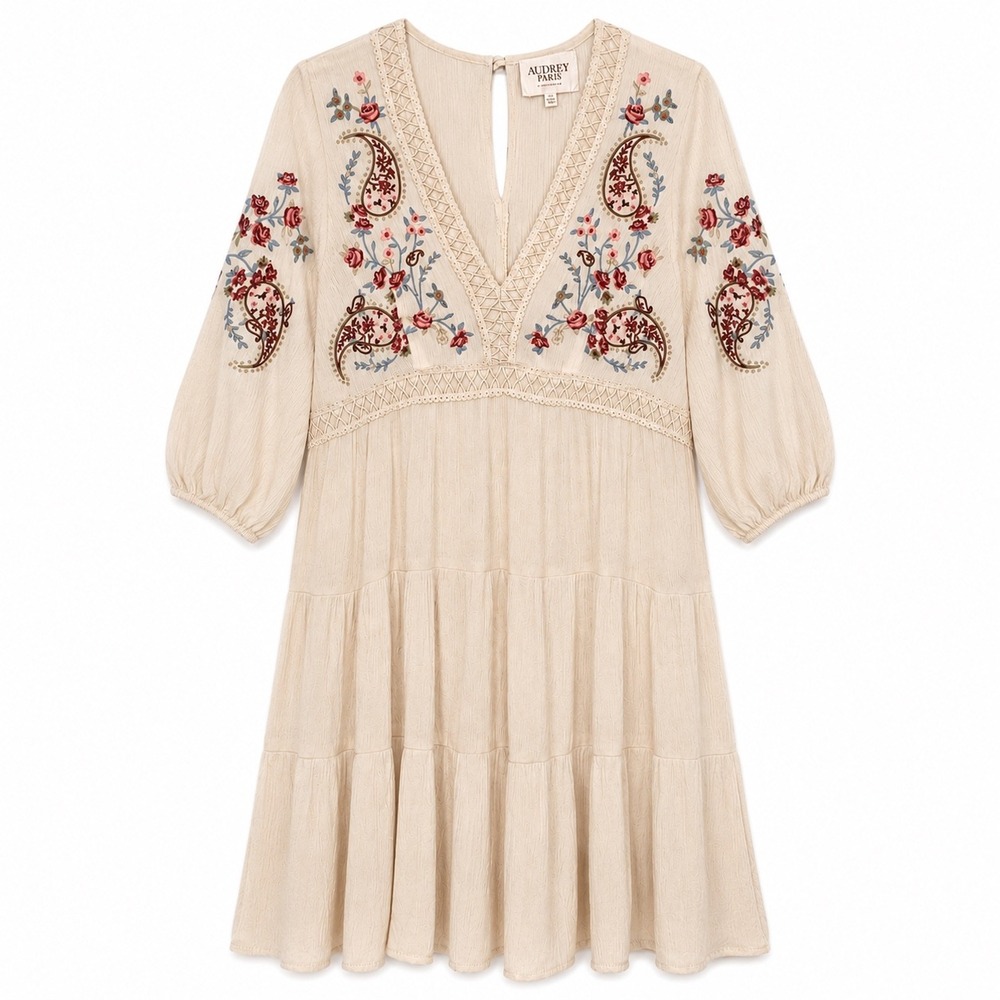 Francesca's Audrey Parks Embroidered Boho Babydoll Mini Dress Medium